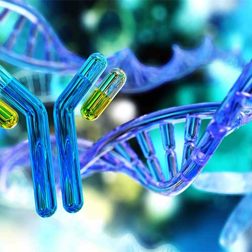 生物类似药开发技术咨询